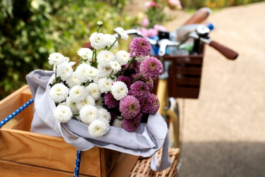 Florist Wollstonecraft