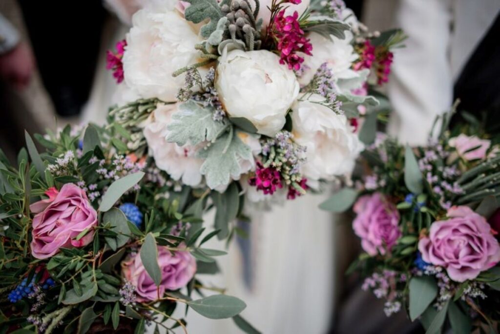 cremorne flowers